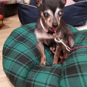 Meet your Posher, Mai